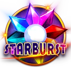 dvx casino how to bet round robin